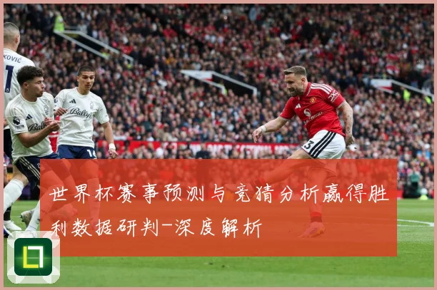 世界杯赛事预测与竞猜分析赢得胜利数据研判-深度解析
